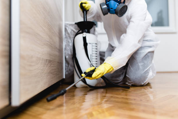 Best Pest Control Near Me  in Mcswain, CA