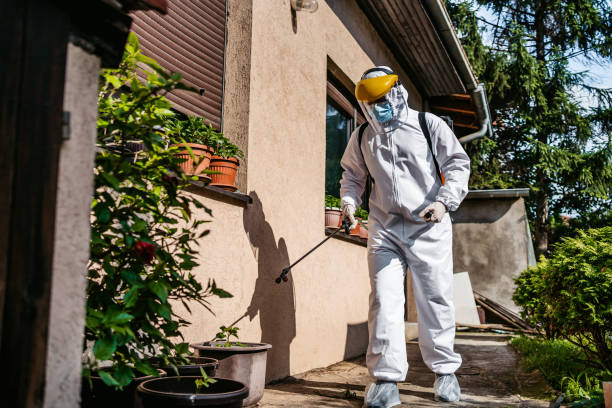 Best Flea Control Services  in Mcswain, CA