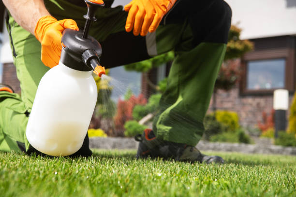 Flea Control Services in Mcswain, CA