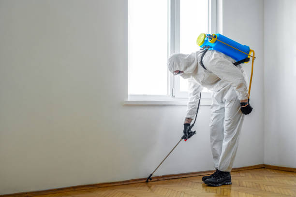 Best Affordable Pest Control Services  in Mcswain, CA
