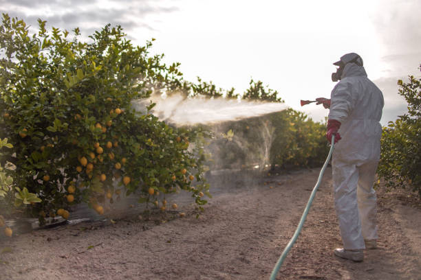 Best Best Pest Control Companies  in Mcswain, CA