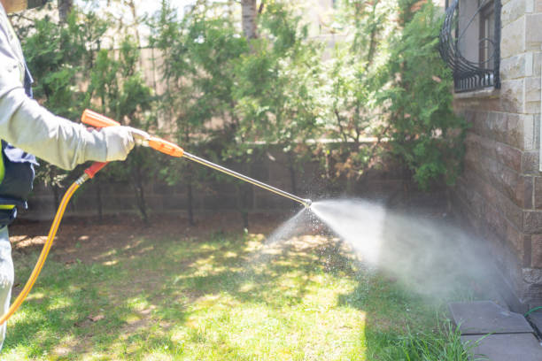 Best Bed Bug Extermination  in Mcswain, CA